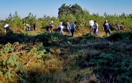 Gerdien Bos Werken Strabrecht - primair
