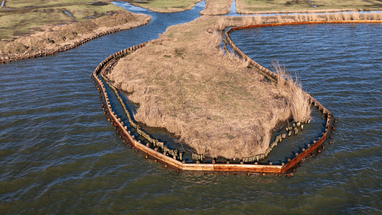 Dankzij beschoeiing om de rietkragen kan het riet weer sterker worden en zo de veengronden beschermen tegen het open water