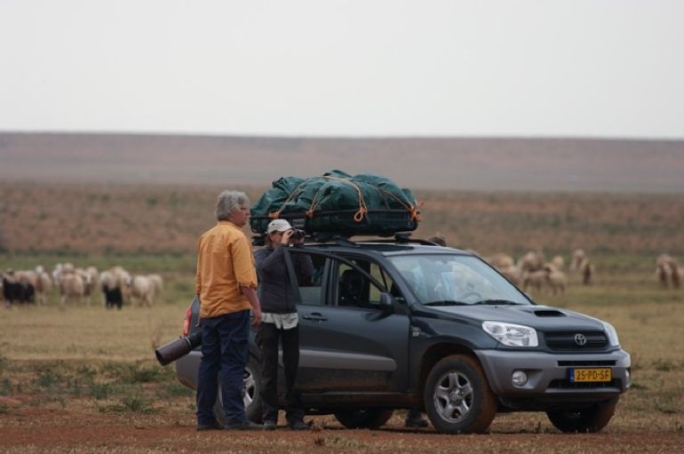 Onderzoeksexpeditie in een stopovergebied van grauwe kiekendieven in Oost-Marokko