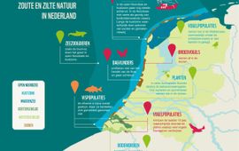 Infographic zoute en zilte natuur in Nederland