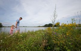 Natuur in Gelderland