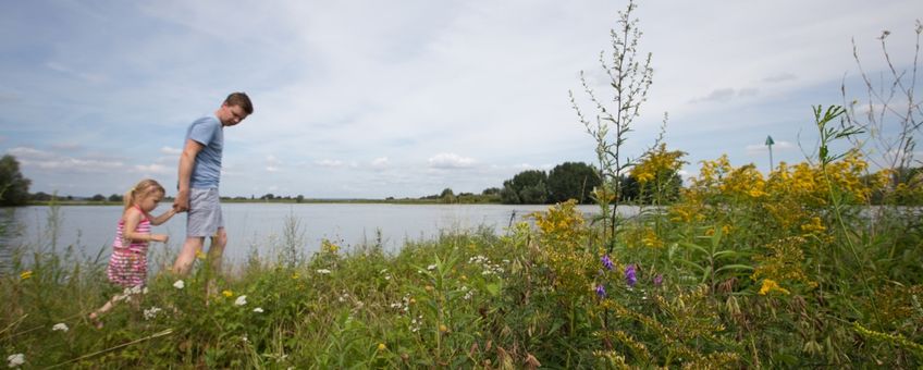 Natuur in Gelderland