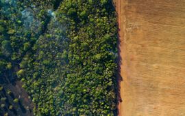 Bosbrand landbouwgrond, Brazilië.