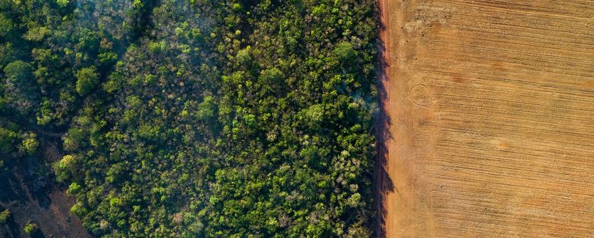 Bosbrand landbouwgrond, Brazilië.