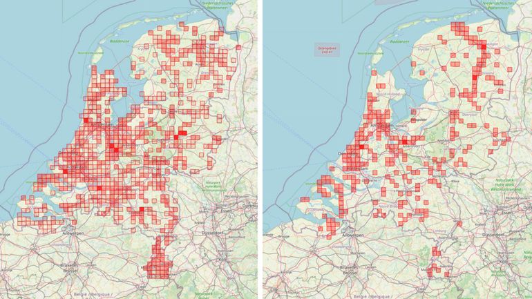 Verspreidingskaart met in rode vlakken de waarnemingen tijdens de Mollentelling van 2021 (links) en die van 2022 (rechts) in hokken van vijf bij vijf kilometer. Hoe donkerder het rode vlak, hoe meer waarnemingen in dit hok doorgegeven zijn