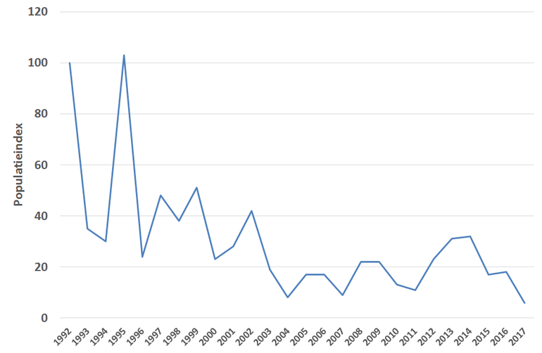 De trend van de heivlinder vanaf 1990