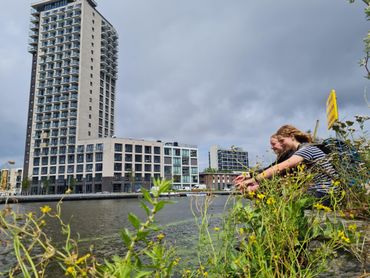 De Jeugdbondleden bij een van de botanisch interessante Haagse kades in het centrum van Den Haag