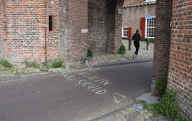 Kees de Heer #stoepplantjes bij de Koppelpoort