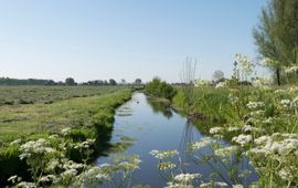 Sloot in agrarisch landschap, Alblasserwaard