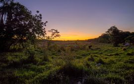 Pasture and young secondary forest Brazil - Anhembi