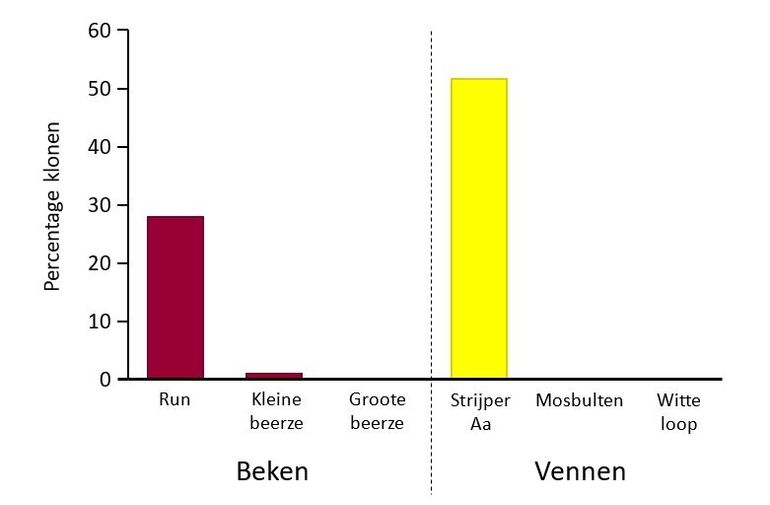 Percentage klonen per onderzoeksgebied