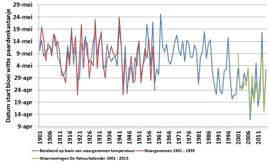 Arnold van Vliet De Natuurkalender Waargenomen en berekende bloei van de witte paardenkastanje