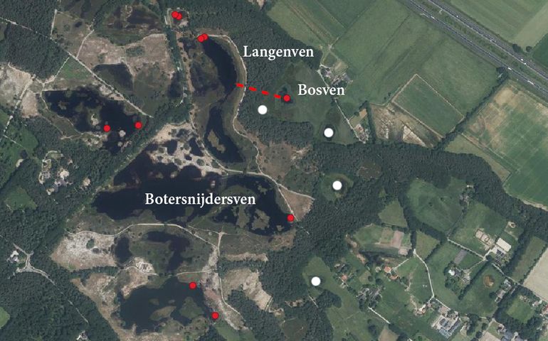 Verspreiding Marmerkreeft in Overasseltse en Hatertse Vennen. De rode stippen zijn de vindplaatsen sinds 2018. De rode stippellijn is de kortste route over land vanuit het Langenven naar de Bosven. De witte stippen zijn onderzochte vennen waar geen kreeften zijn aangetroffen