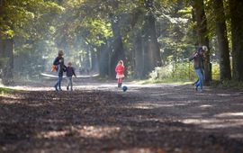 Wandelaars in bos bij Lage Vuursche