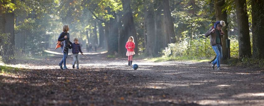 Wandelaars in bos bij Lage Vuursche