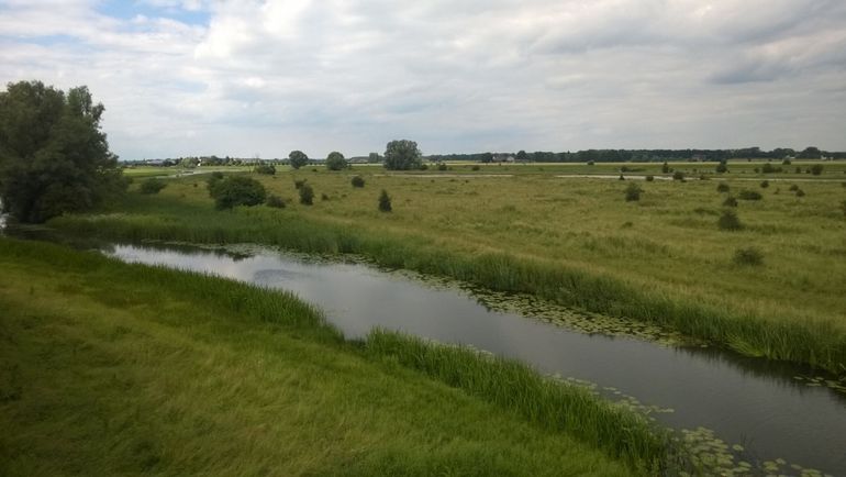 Het eiland Erfkamerlingschap in het gebied Rijnstrangen. Hier wordt gewerkt aan nieuw rietmoeras