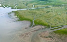 Rijkswaterstaat Joop van Houten Kwelders waddenzee
