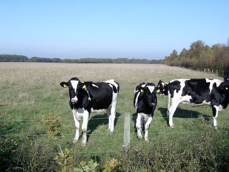 Duurzame landbouw is voordelig voor natuur én boer