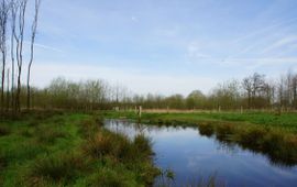 beeldbank provincie Noord-Brabant Keersop, Kromhurken in Bergeijk - eenmalig gebruik
