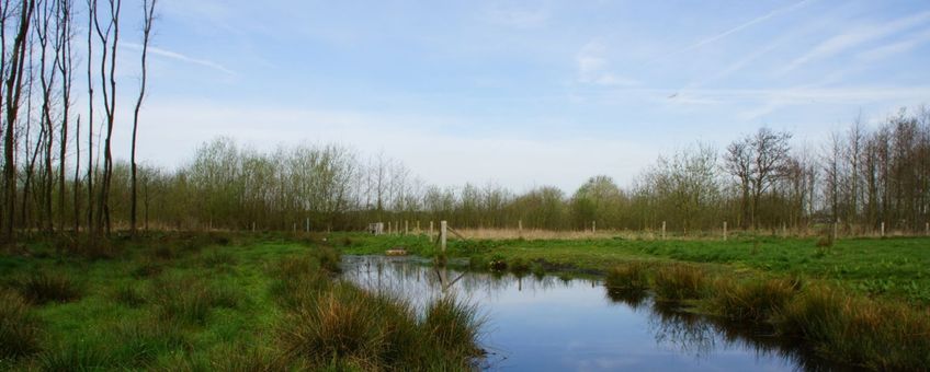 Keersop, Kromhurken in Bergeijk - eenmalig gebruik