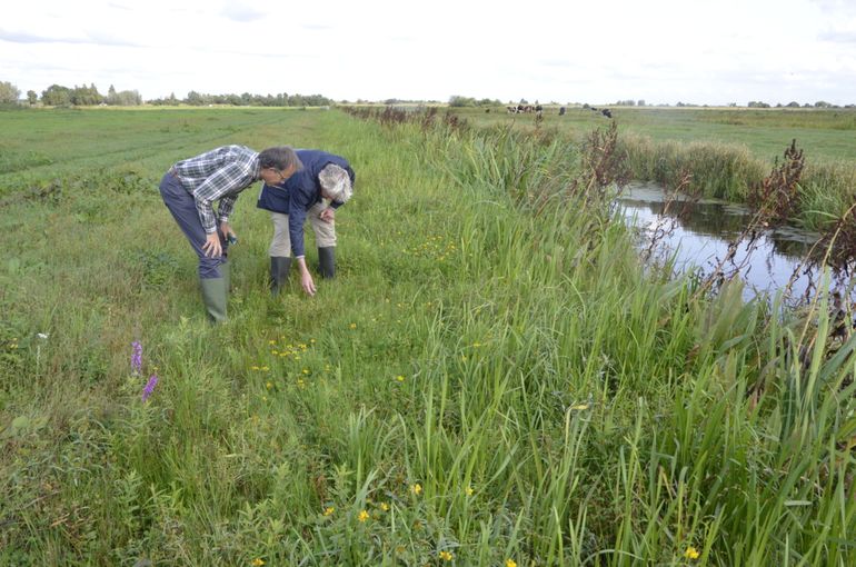 In de geterrasseerde oevers is de biodiversiteit sterk toegenomen