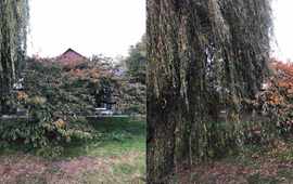 Arnold van Vliet Sierkers Bennekom herfst 2020