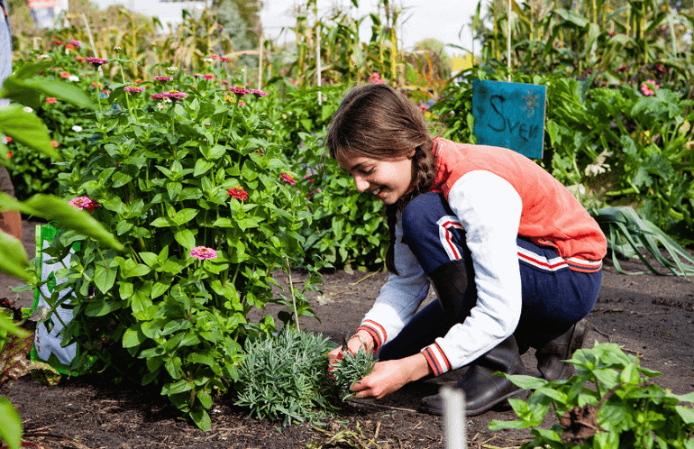 Kinderen aan de slag in de film Schooltuin Onder het Maaiveld