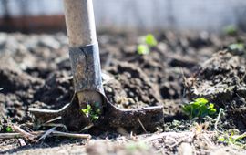 agriculture-backyard-blur