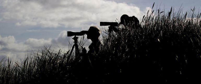 Zeetrektellers kijken over zee vanaf een duin op Terschelling