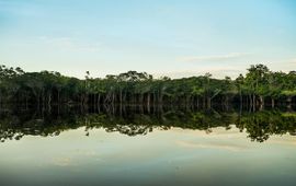 Orinoco-rivier Colombia