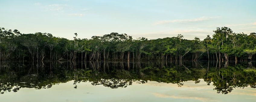 Orinoco-rivier Colombia