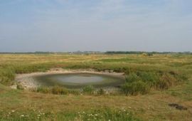 Rein de Waal Brak grasland Yersekemoer De Waal