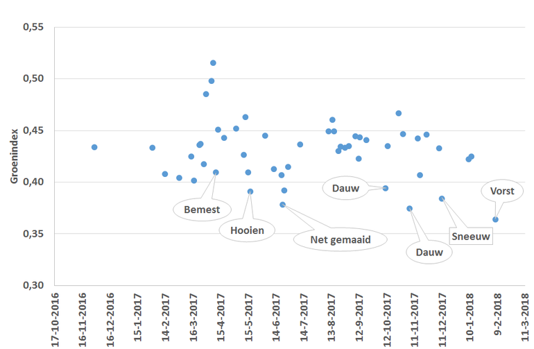 Figuur 1: Groenindex van het weiland aan de Dijkgraaf in Wageningen
