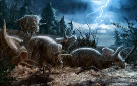 Nadia de Waal Een mogelijk scenario van hoe een groep Triceratopsen hun eind hebben gevonden. 67 miljoen jaar geleden teisterden sterke regenbuien en overstromingen Noord-Amerika. Triceratops was geen goede zwemmer, en vele zullen verdronken zijn.