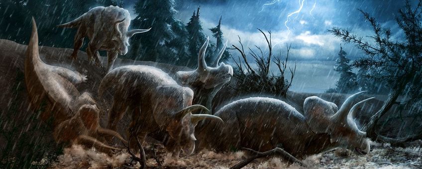 Een mogelijk scenario van hoe een groep Triceratopsen hun eind hebben gevonden. 67 miljoen jaar geleden teisterden sterke regenbuien en overstromingen Noord-Amerika. Triceratops was geen goede zwemmer, en vele zullen verdronken zijn.