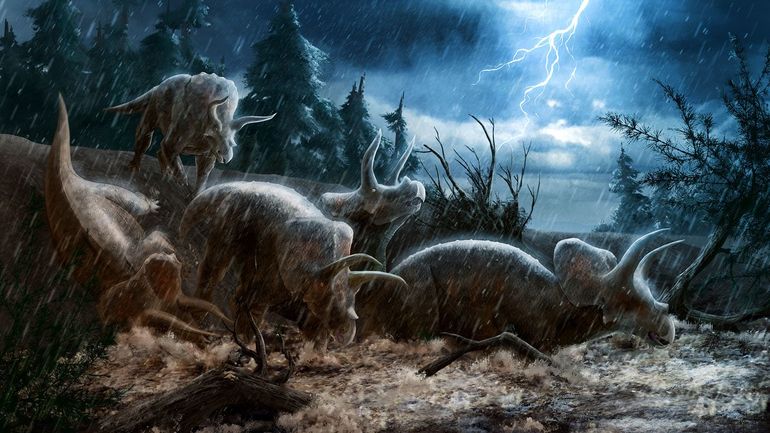 A possible scenario for how a group of triceratops came to an end.  67 million years ago, heavy rains and floods ravaged North America.  Triceratops was not a good swimmer and many will have drowned