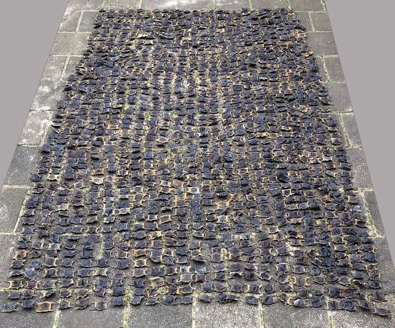 Kunstwerk van honderden eikapsels die in maart 2020 zijn aangetroffen
