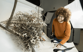 Naturalis-onderzoeker Auke-Florian Hiemstra met eksternest gemaakt van anti-vogelpinnen