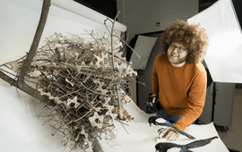 Alexander Schippers Naturalis-onderzoeker Auke-Florian Hiemstra met eksternest gemaakt van anti-vogelpinnen