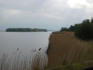 Uitzicht vanuit de vogelkijkhut bij Ooltgensplaat, Haringvliet