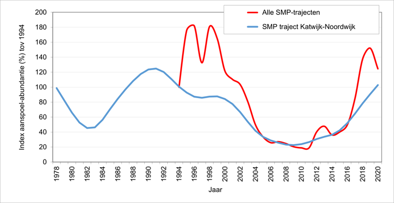 Relatief voorkomen (index van de gemiddelde abundanties) van aangespoelde levende exemplaren en doubletten van de Halfgeknotte strandschelp op de SMP-trajecten van Noord- en Zuid-Holland en Zeeland. Daarnaast is de tijdreeks bepaald voor het SMP-traject bij Katwijk-Noordwijk, dat al in 1978 is gestart. (De SMP-trajecten van de Friese Waddeneilanden zijn bij deze analyse buiten beschouwing gelaten, omdat de tijdreeksen van die gebieden nog onvoldoende lang zijn)