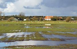 voor eenmalig gebruik, Natte weilanden op Texel