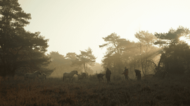 Huis ter Heide - De Mast