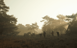 Huis ter Heide - De Mast