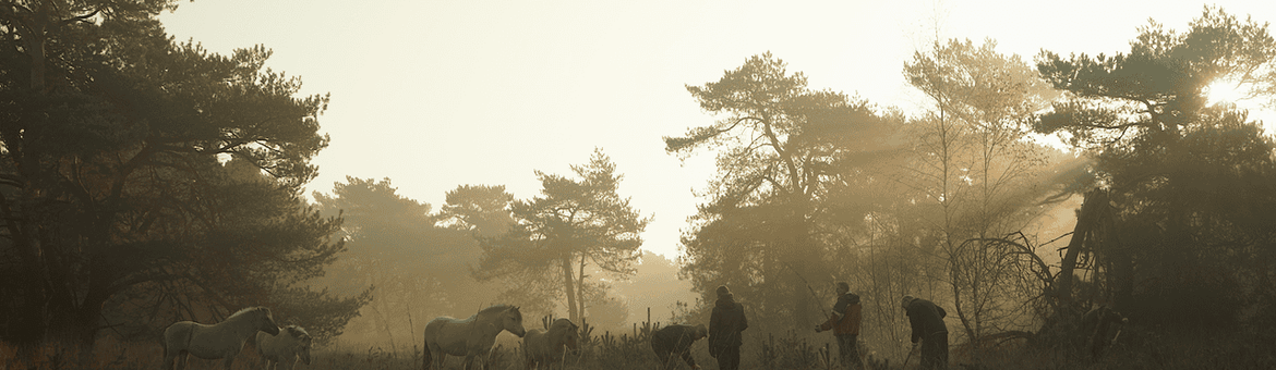 Huis ter Heide - De Mast