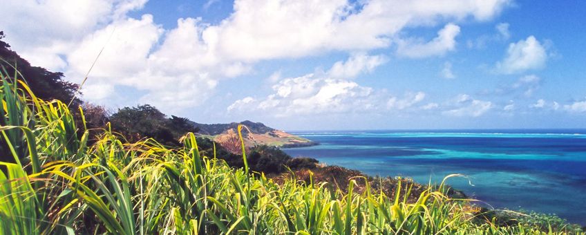 Suikerplantages bij Bel Air op Mauritius (2004)