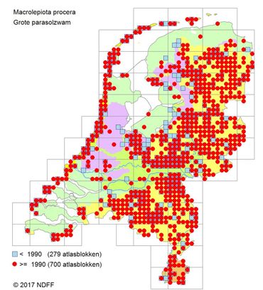 Verspreidingskaartje van de Grote parasolzwam. De veen- en kleigebieden worden gemeden