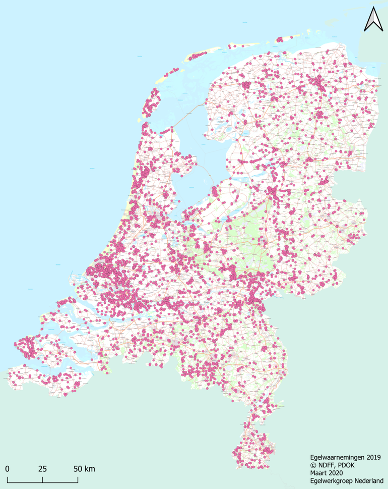 Verspreiding egelwaarnemingen in 2019