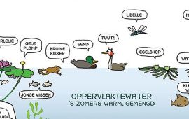 Margreet de Heer