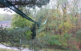 Frederique de Bruijn Eekhoorn boombrug Roermond VOOR EENMALIG GEBRUIK
